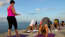 Yoga Wellness Retreat January 2014